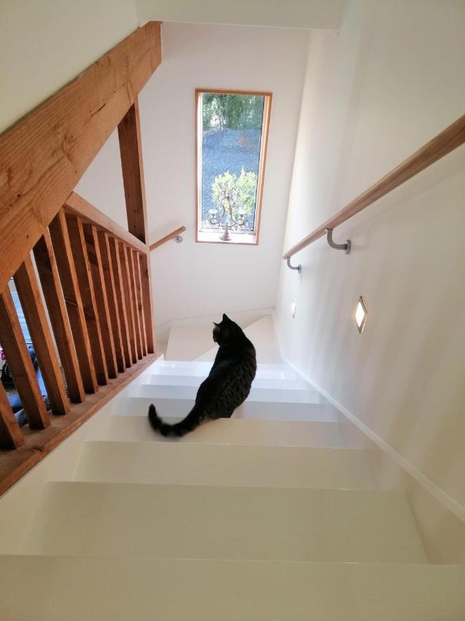Beech Hill - Pet Friendly Holiday Home Tasman Bagian luar foto