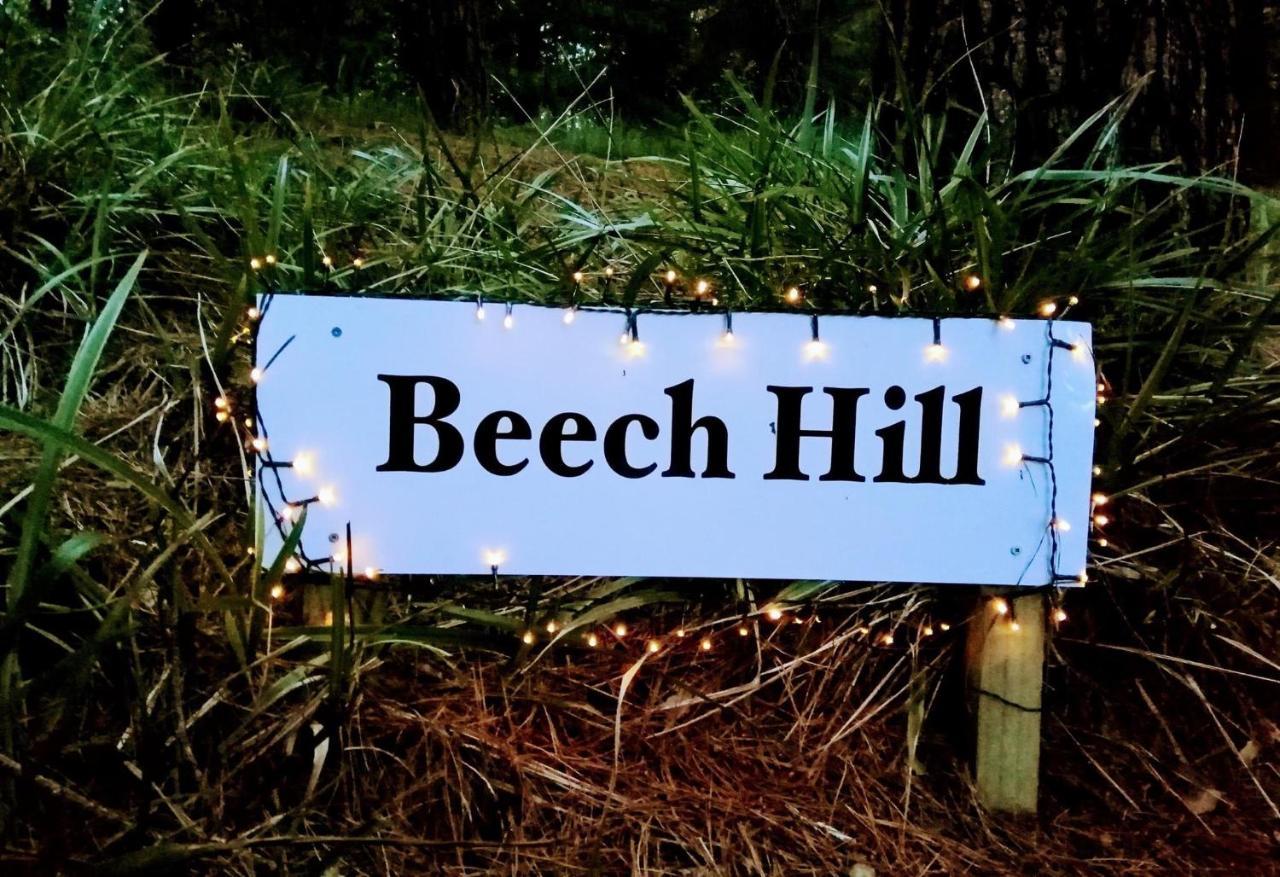 Beech Hill - Pet Friendly Holiday Home Tasman Bagian luar foto