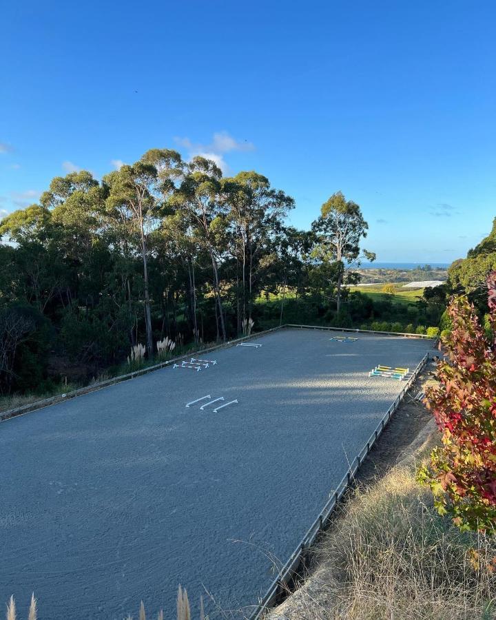 Beech Hill - Pet Friendly Holiday Home Tasman Bagian luar foto