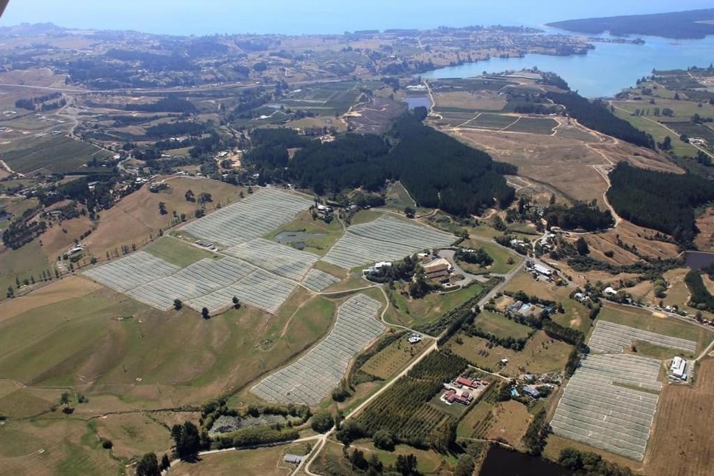 Beech Hill - Pet Friendly Holiday Home Tasman Bagian luar foto